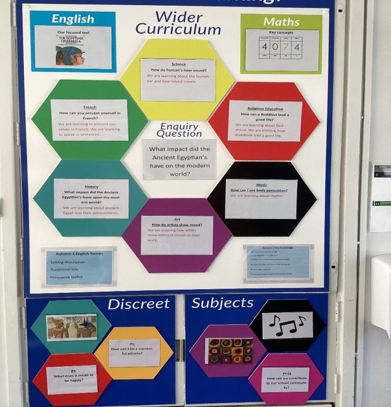 Wider-Curriculum-Display-2-768&#215;798