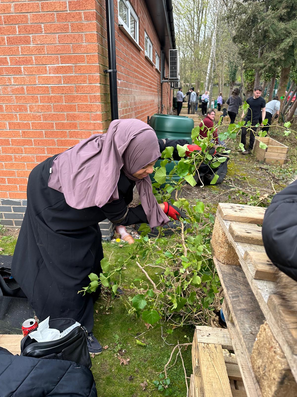 Huntingdon Allotment volunteer pruning plants